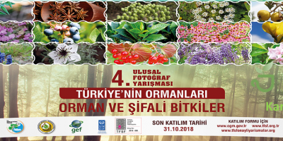 Türkiye Ormanları “Orman ve Şifalı Bitkiler” Konulu Fotoğraf Yarışması Türkiye Ormanları “Orman ve Şifalı Bitkiler” Konulu Fotoğraf Yarışması