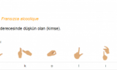 Gıdakolik Nedir?